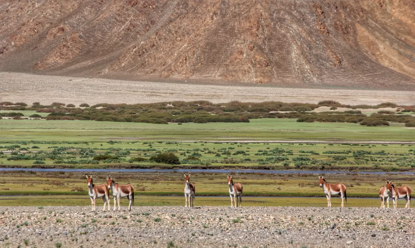 Photo of Ladakh By Gaurav Dalvi