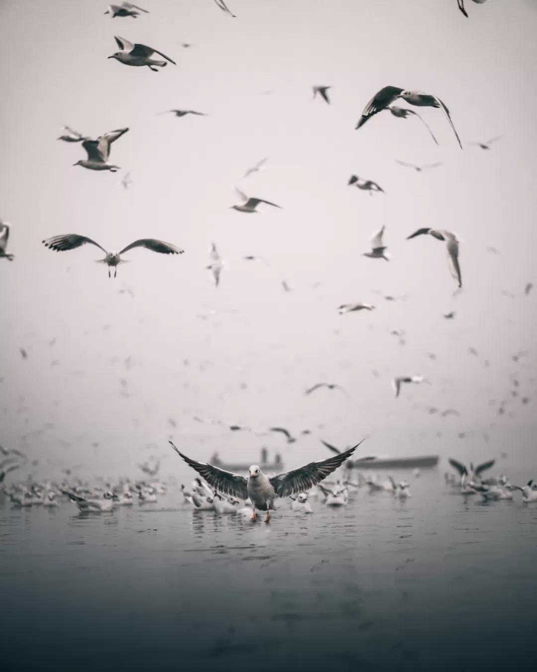 Photo of Yamuna Ghat By Aniket Bhandari