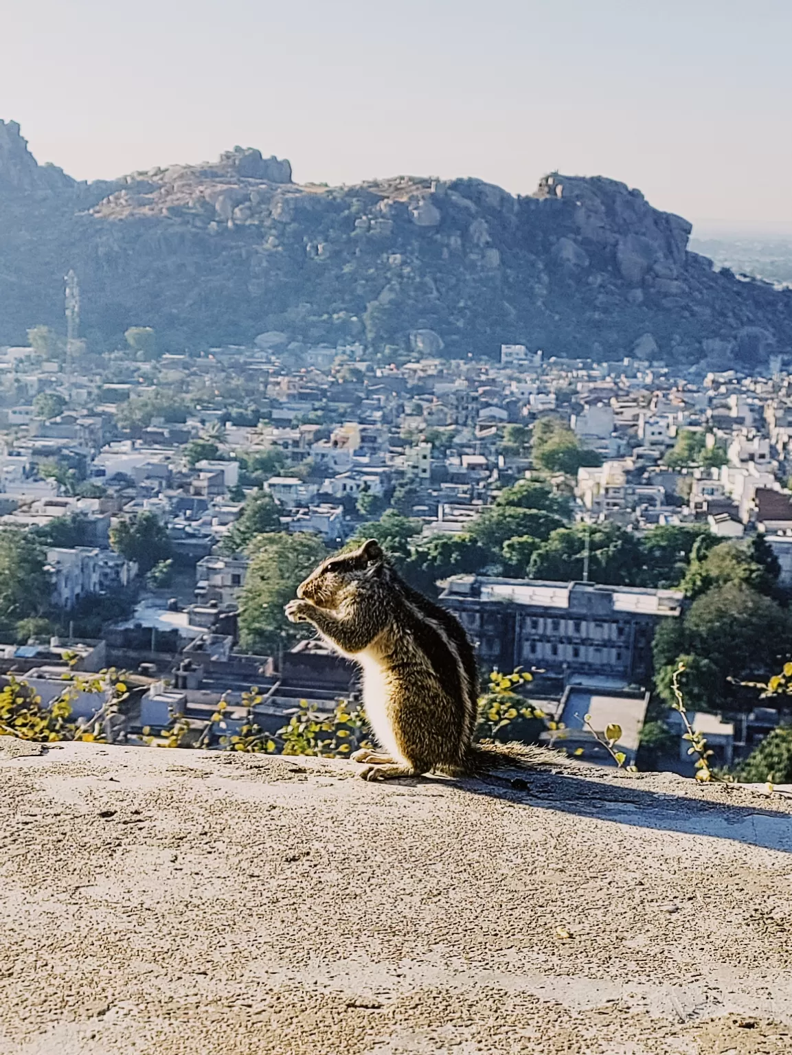 Photo of Idar By Drashti Bhavsar
