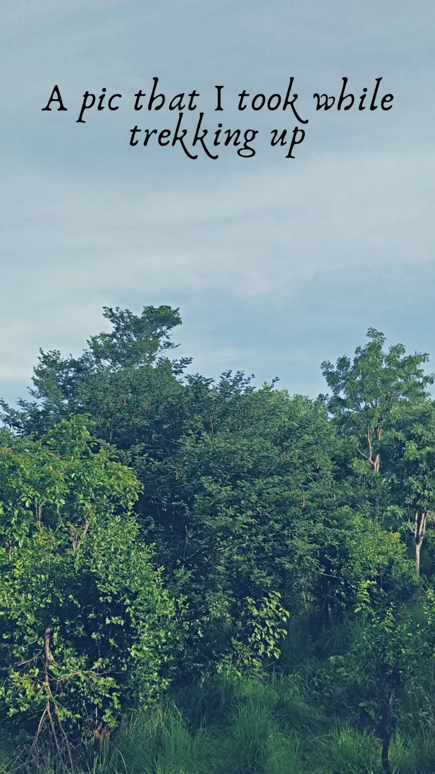 Photo of Dandiganahalli Dam By Sumathi Kotthuri