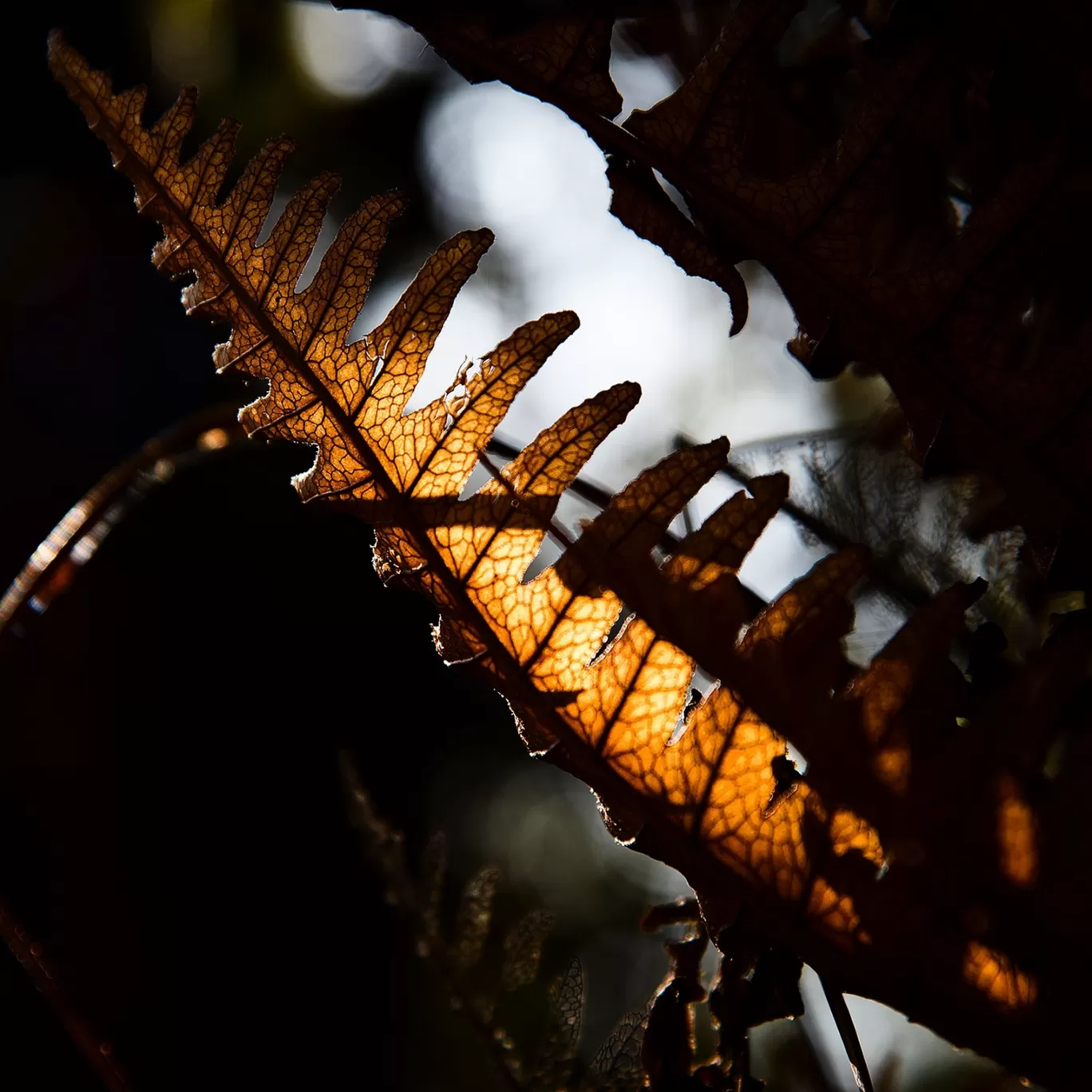 Photo of Uttarakhand By Abhishek Chatterjee