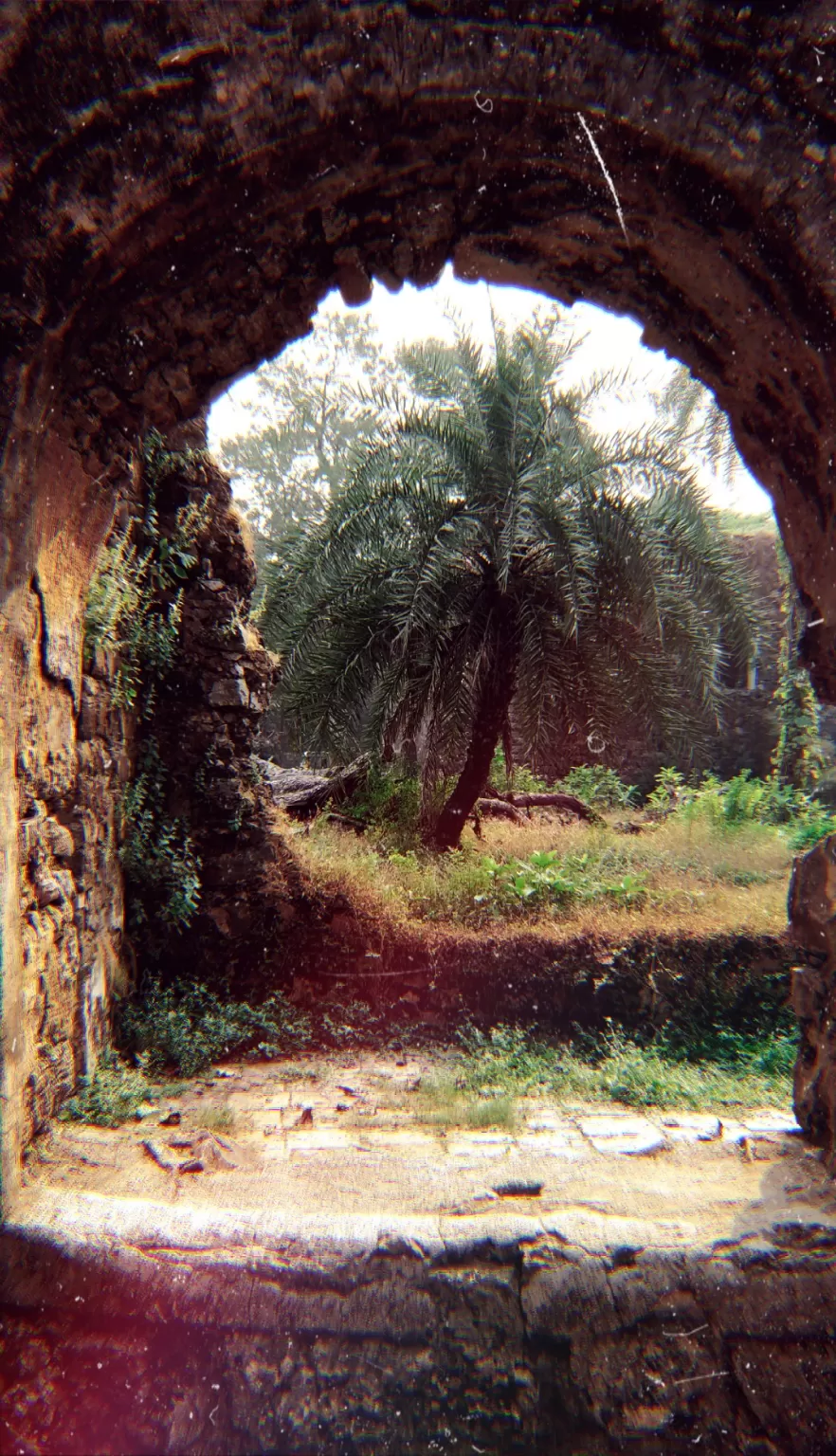 Photo of Vasai Fort By Pooja Gaud