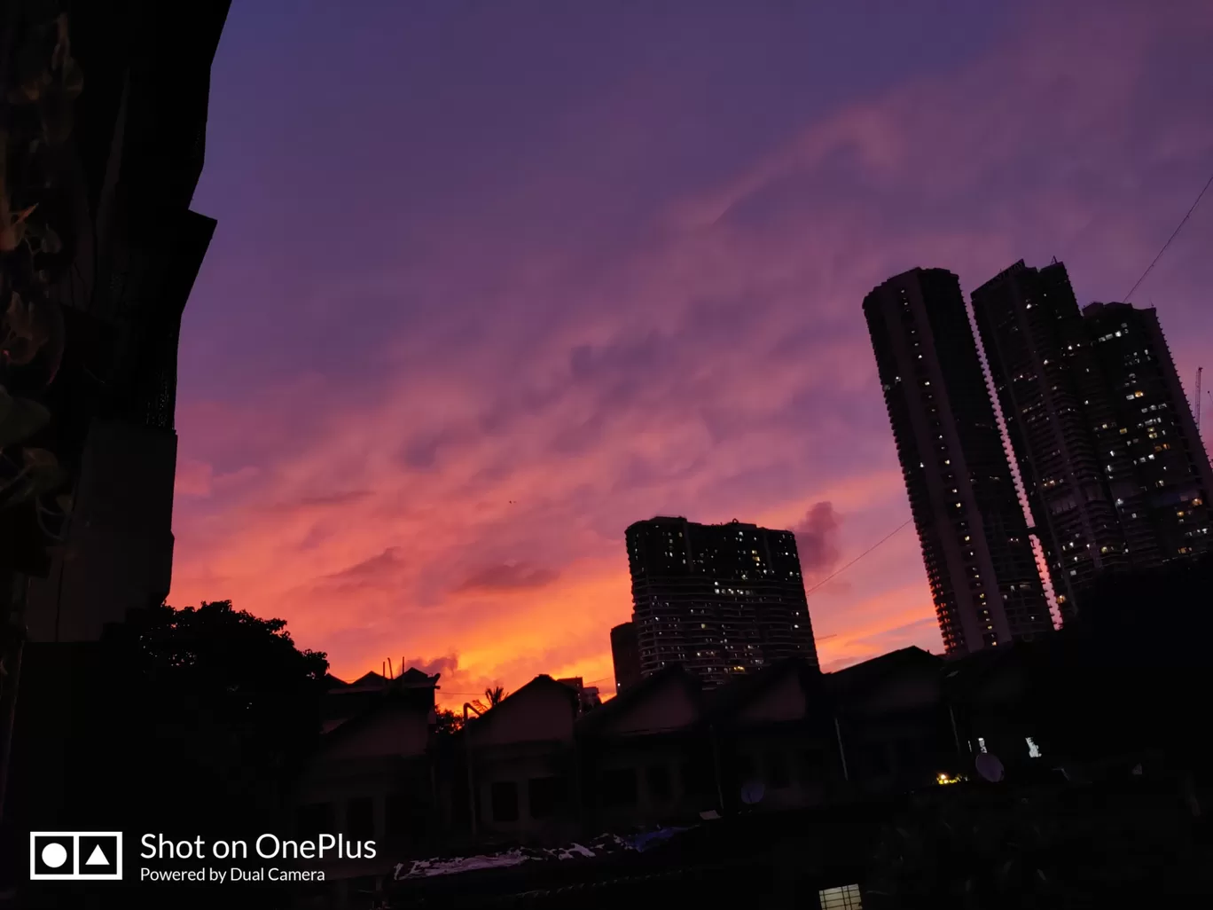 Photo of Sewri Mumbai By Sneha Hanchate
