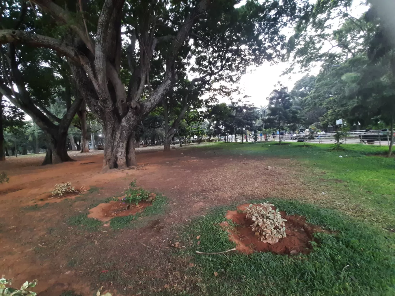 Photo of Lalbagh Botanical Garden By Jeevan Varghese