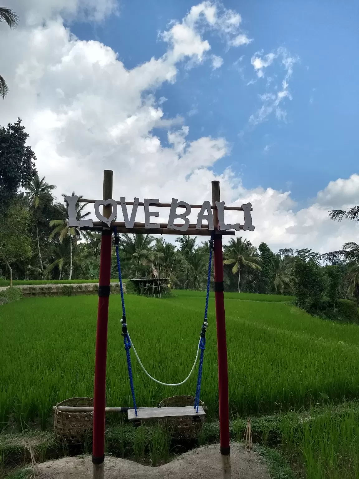 Photo of Tegallalang Rice Terrace By Amirtheshwar Santhosh