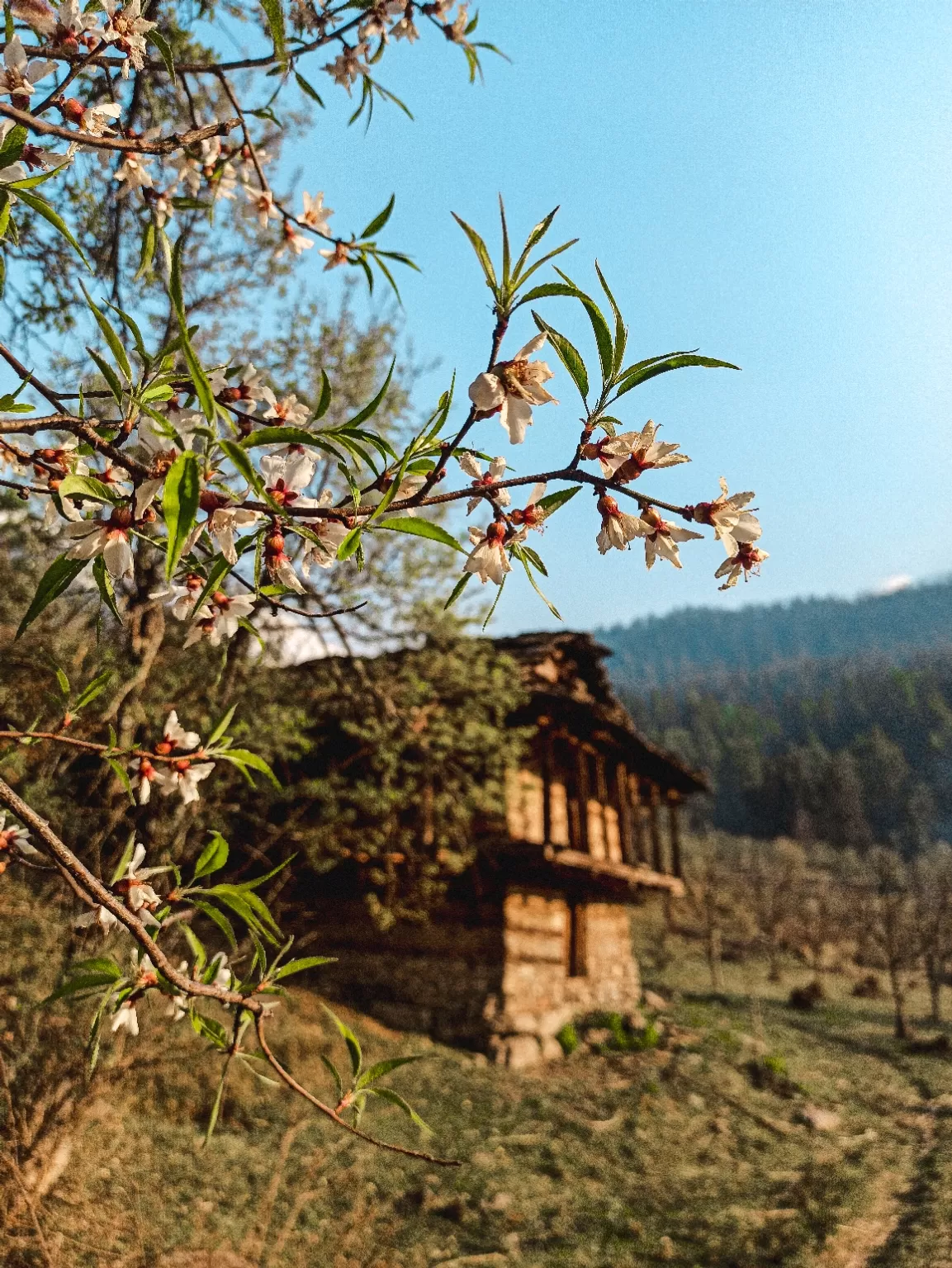 Photo of Parvati Valley By Kîran Thakur