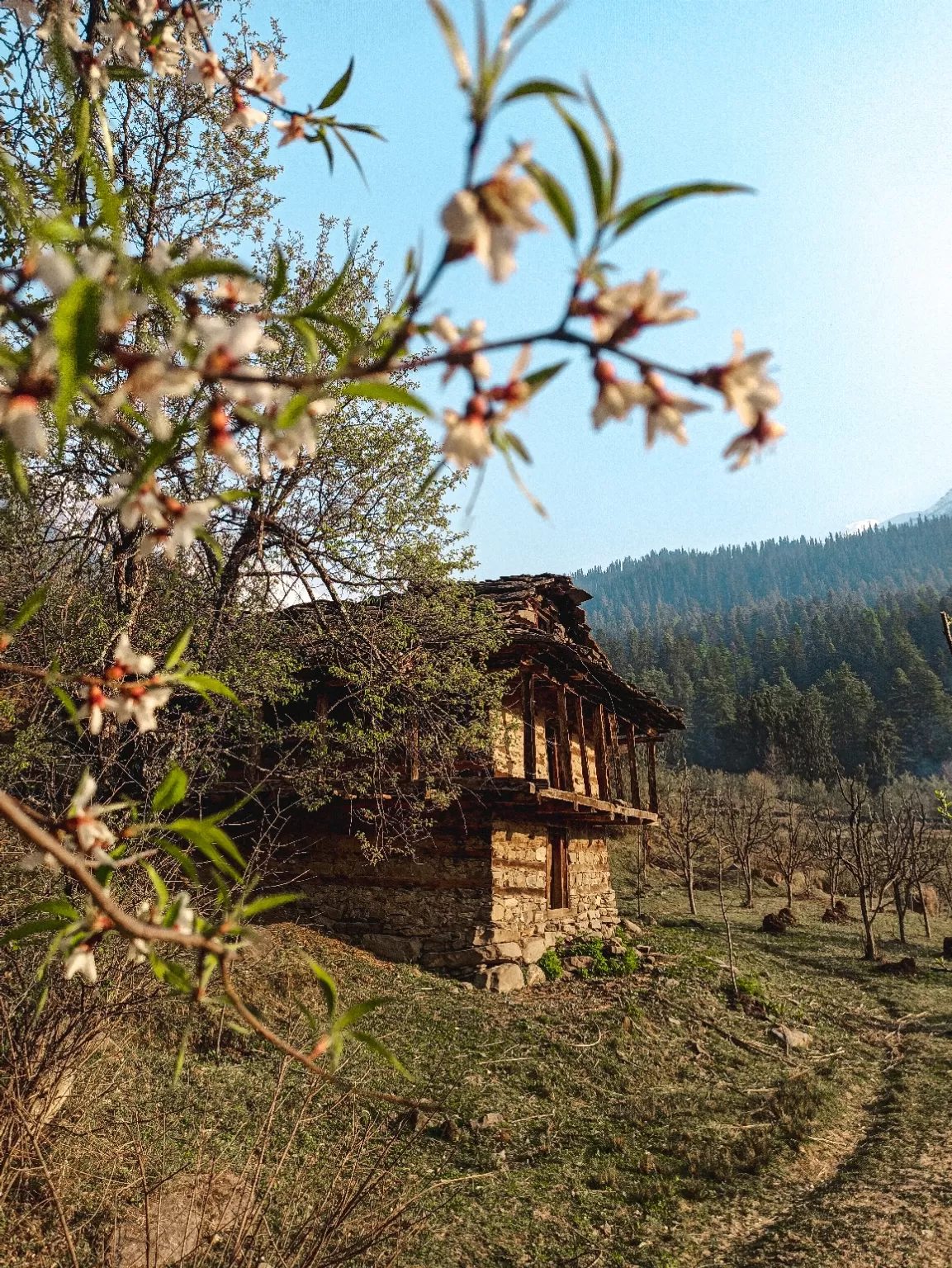 Photo of Parvati Valley By Kîran Thakur