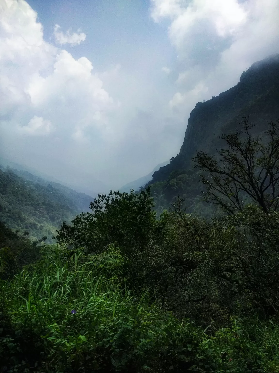 Photo of Ooty hills station By Daud Arman