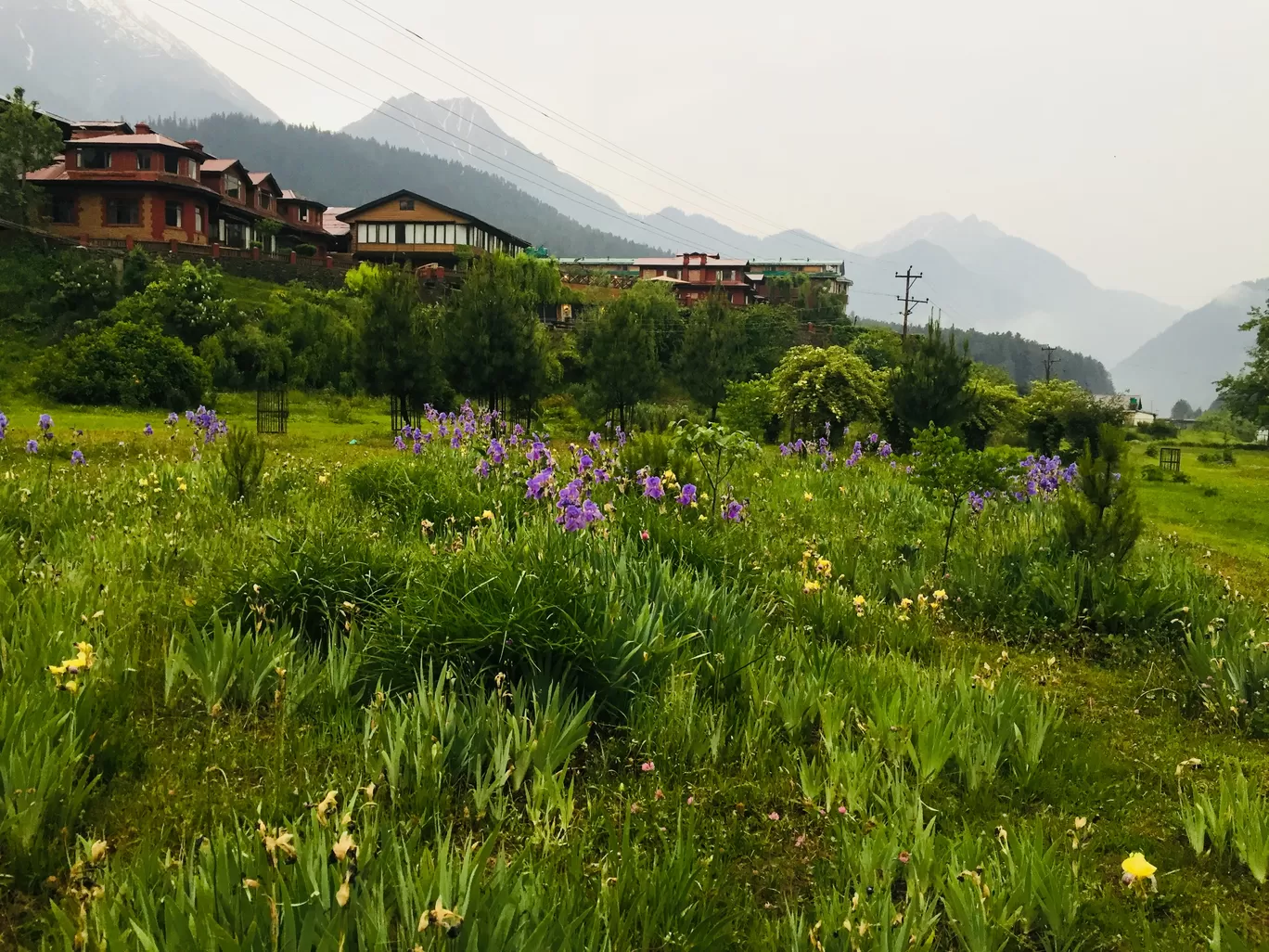 Photo of Kashmir By shivani