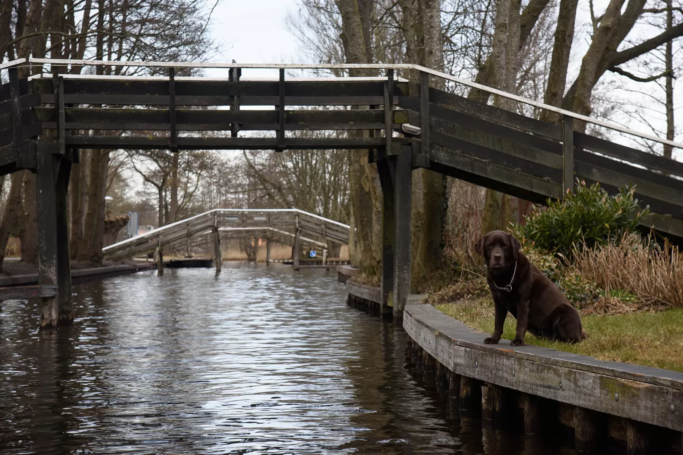 Photo of Giethoorn By theNaveenSoni