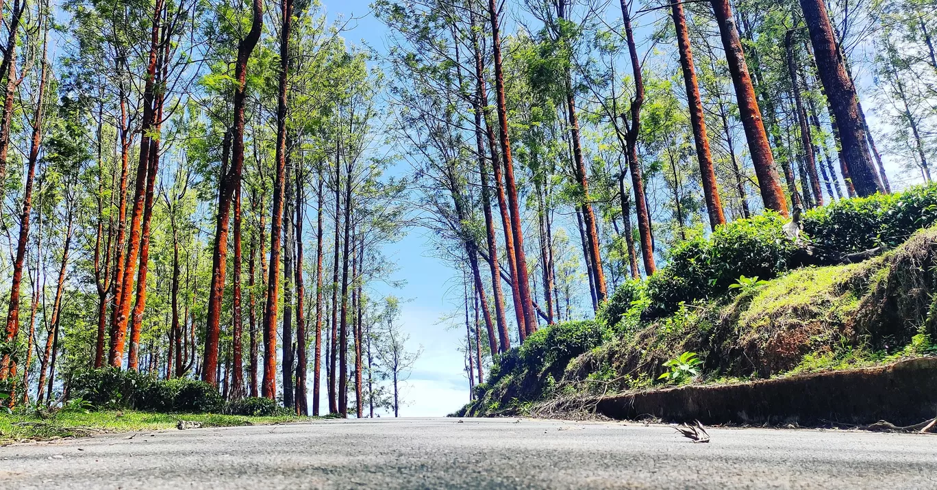 Photo of Ooty By Ajith Bal