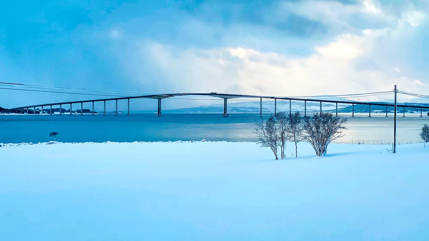 Photo of Tromsø By Shivangi Johri