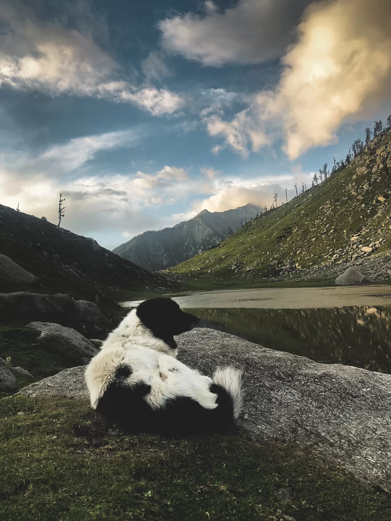 Photo of Himachal Pradesh By Jatin Modak