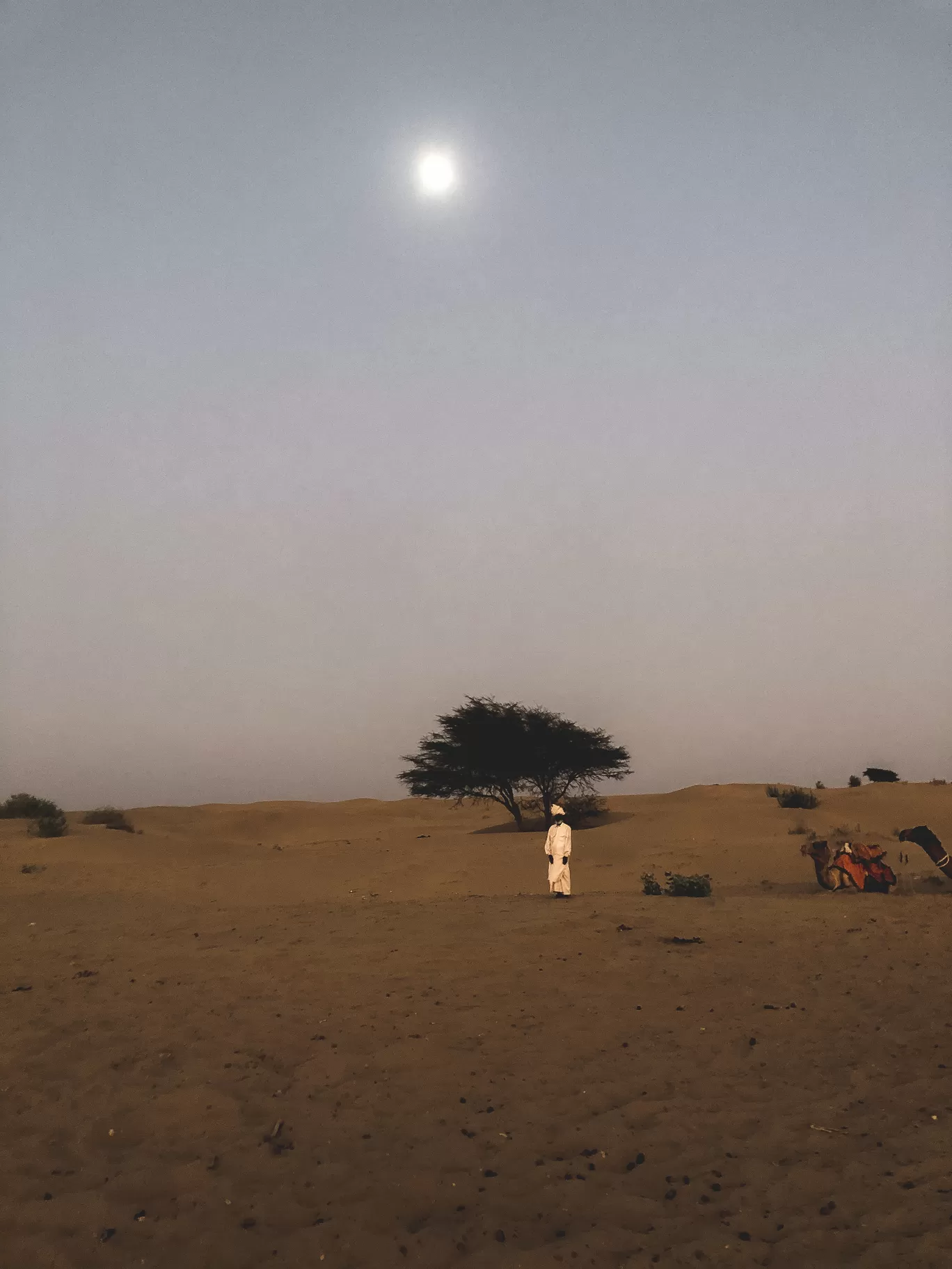 Photo of Sam Sand Dunes By Jatin Modak
