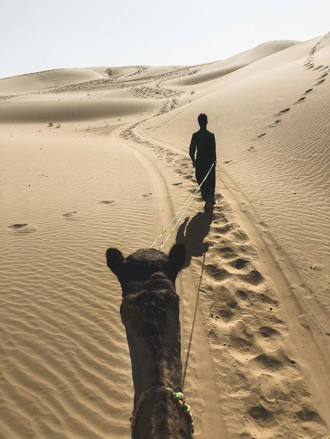 Photo of Sam Sand Dunes By Jatin Modak