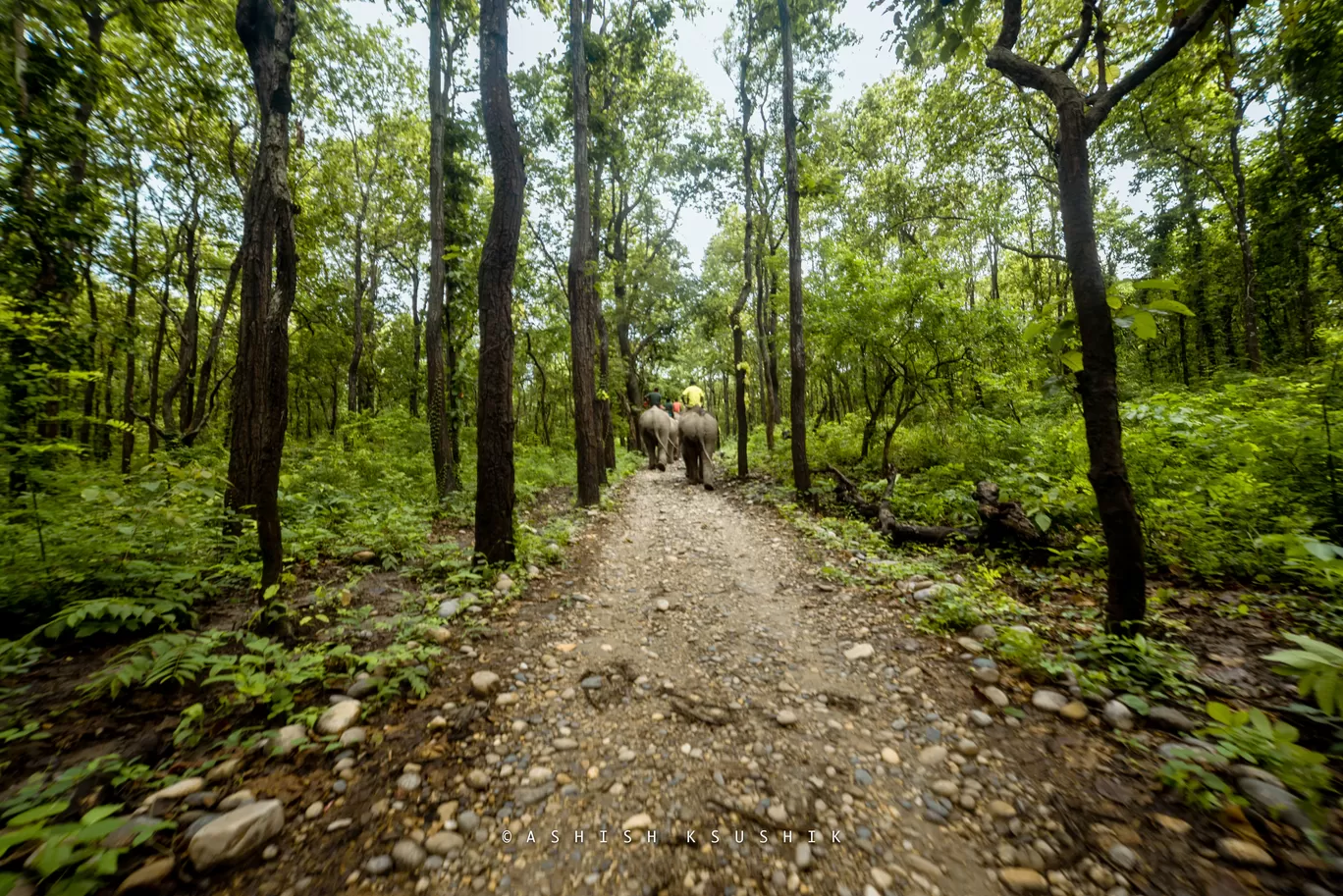 Photo of Valmiki Nagar By Ashish Kaushik