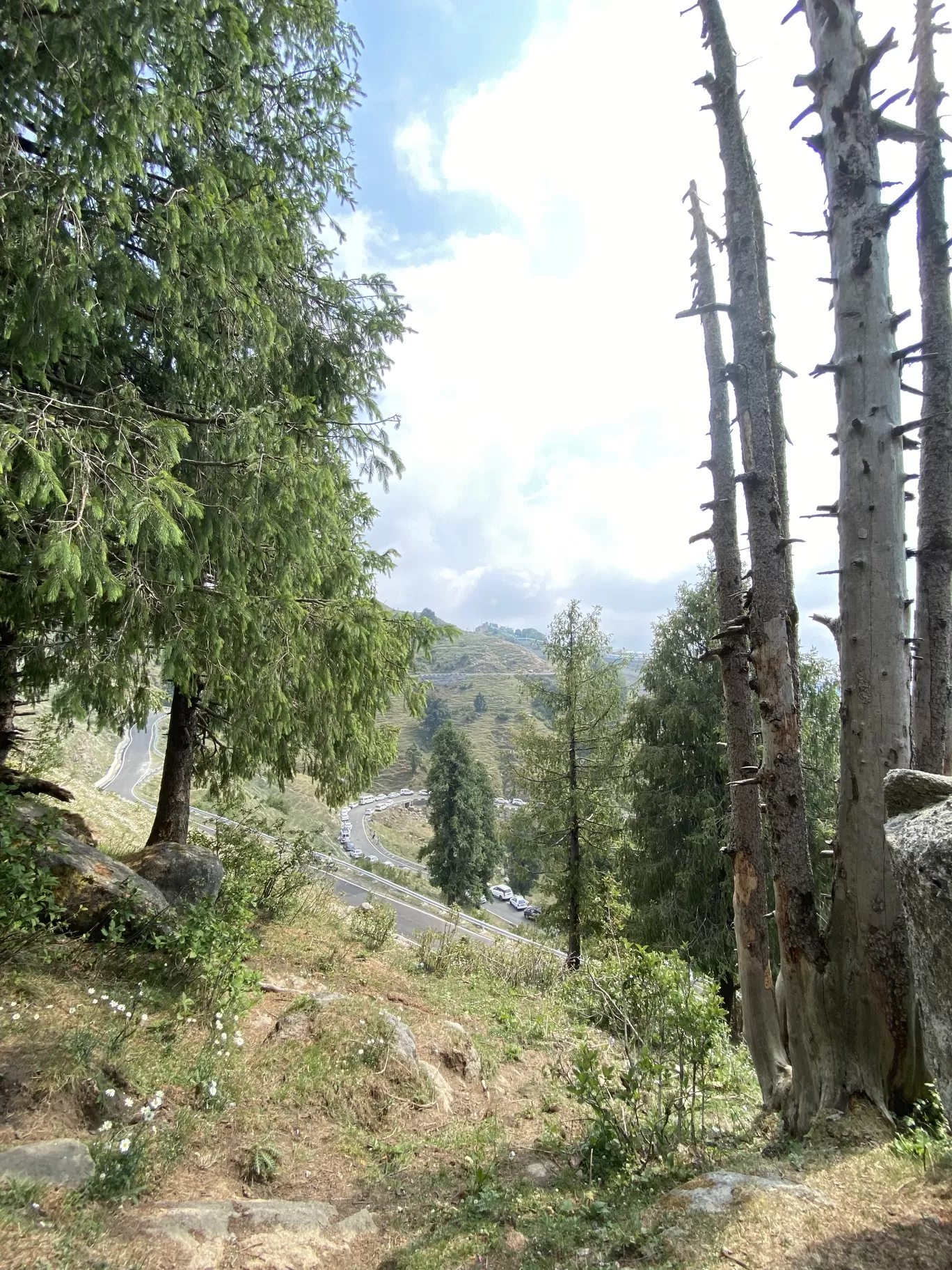 Photo of Dainkund Peak By Kuntala Banerjee