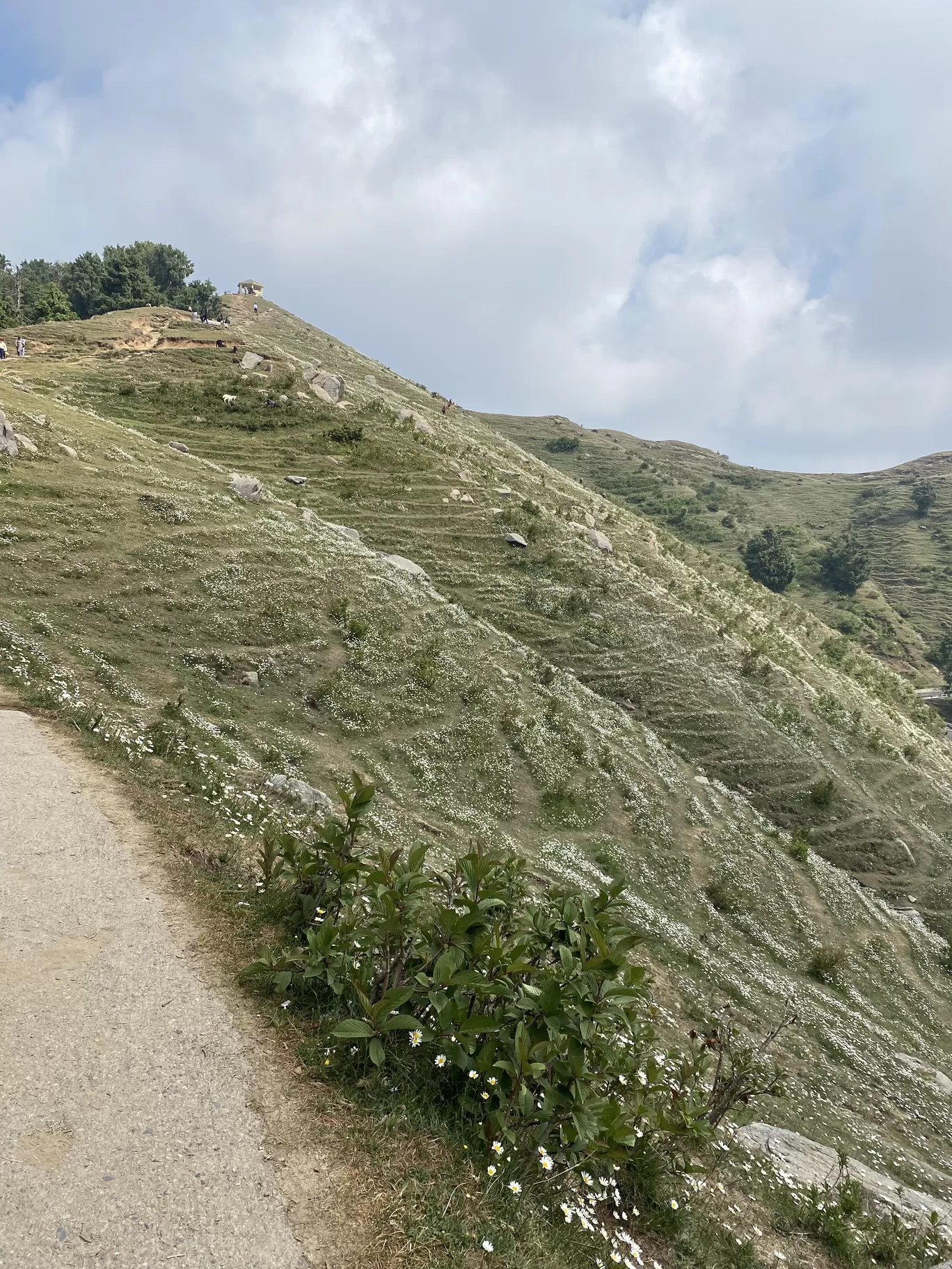 Photo of Dainkund Peak By Kuntala Banerjee