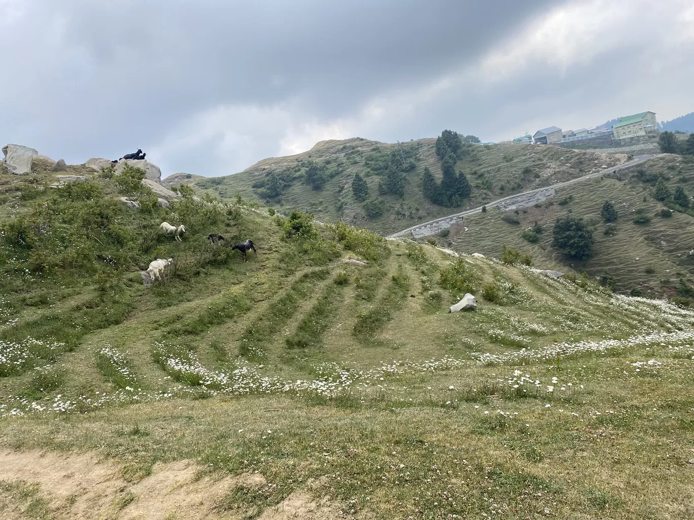 Photo of Dainkund Peak By Kuntala Banerjee