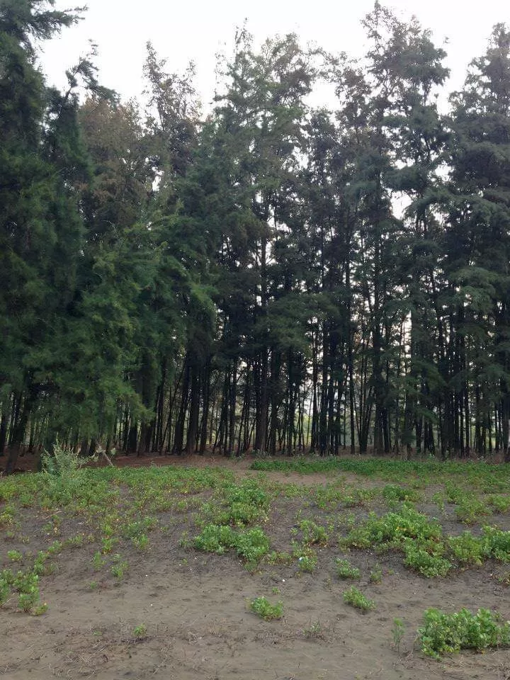Photo of Velas By The Local Backpacker 