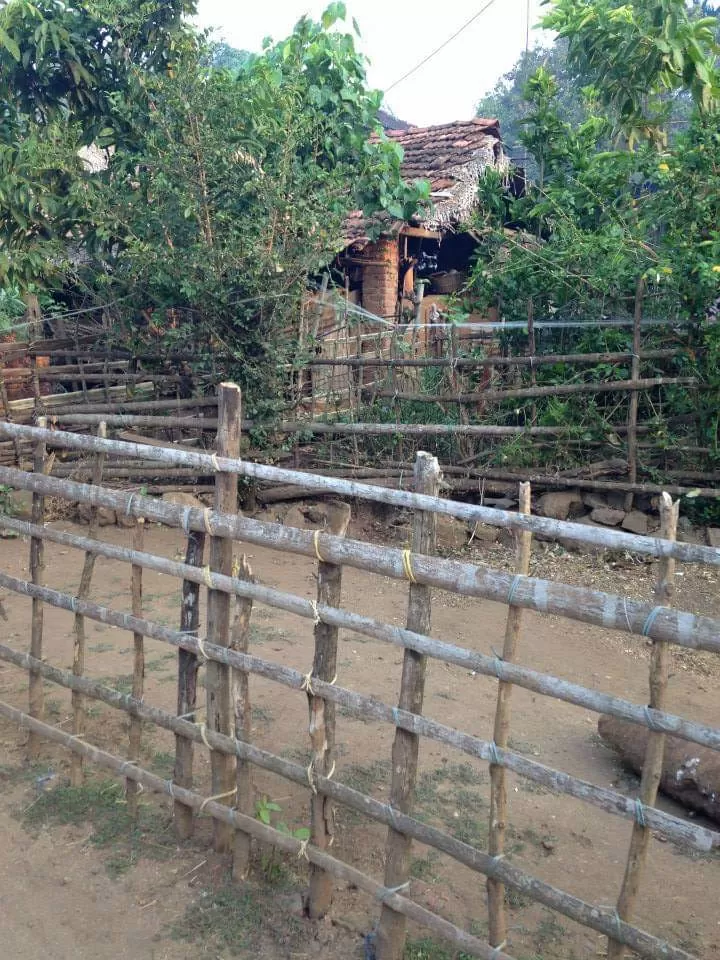 Photo of Velas By The Local Backpacker 