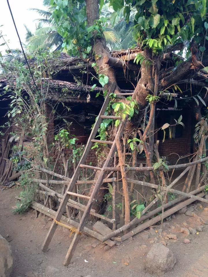 Photo of Velas By The Local Backpacker 