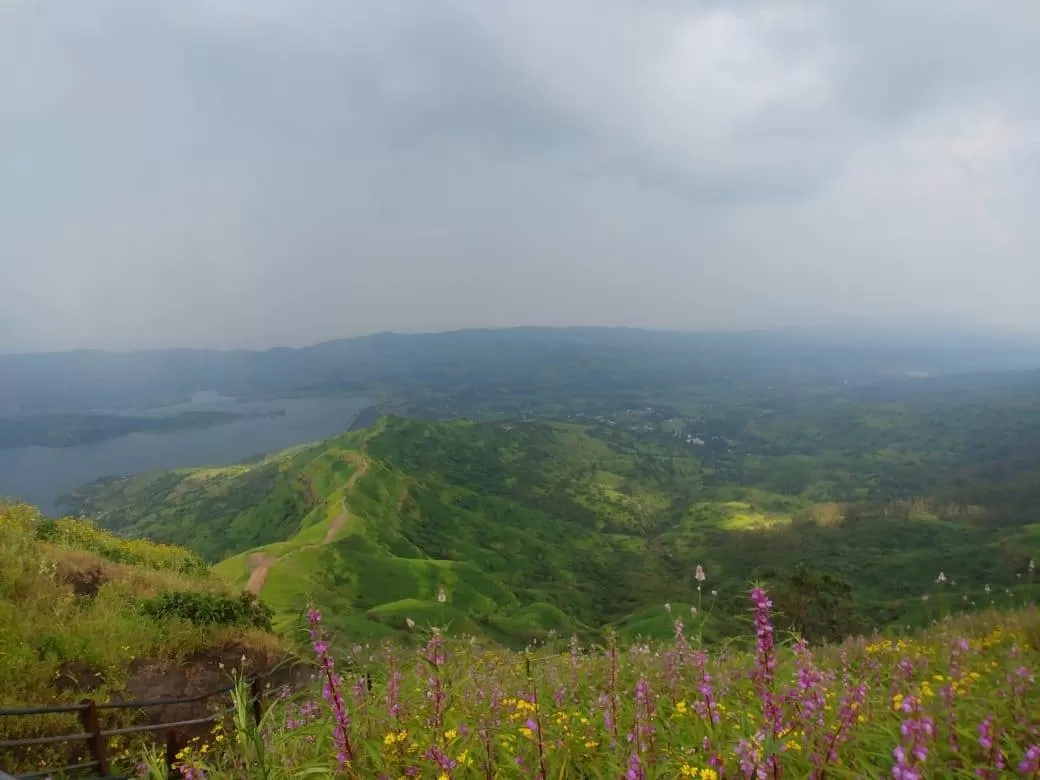 Photo of Torna Fort By The Local Backpacker 