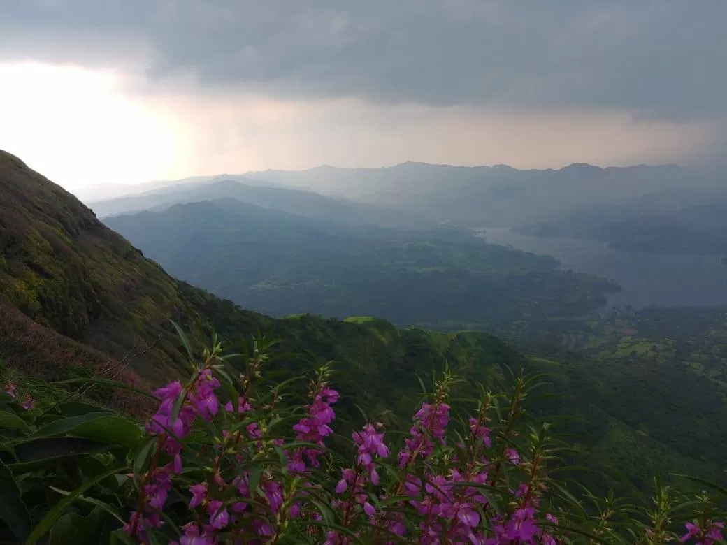 Photo of Torna Fort By The Local Backpacker 