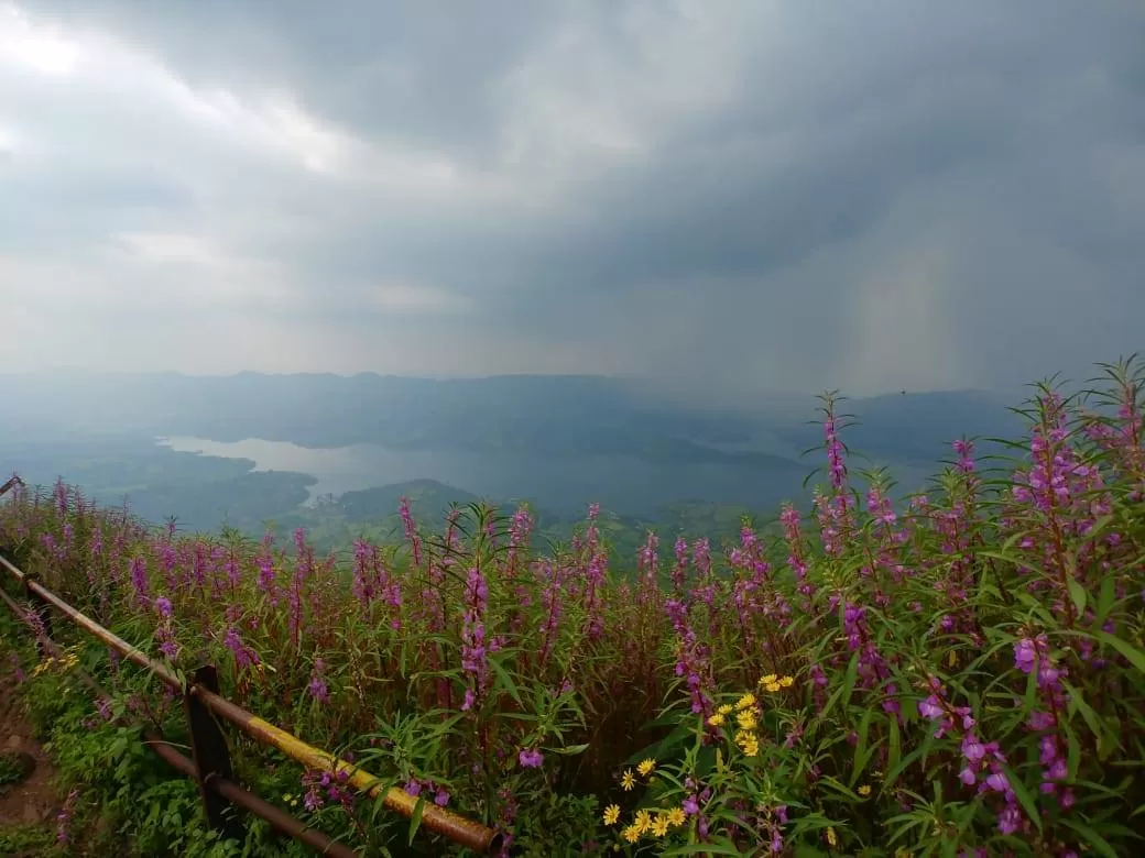 Photo of Torna Fort By The Local Backpacker 