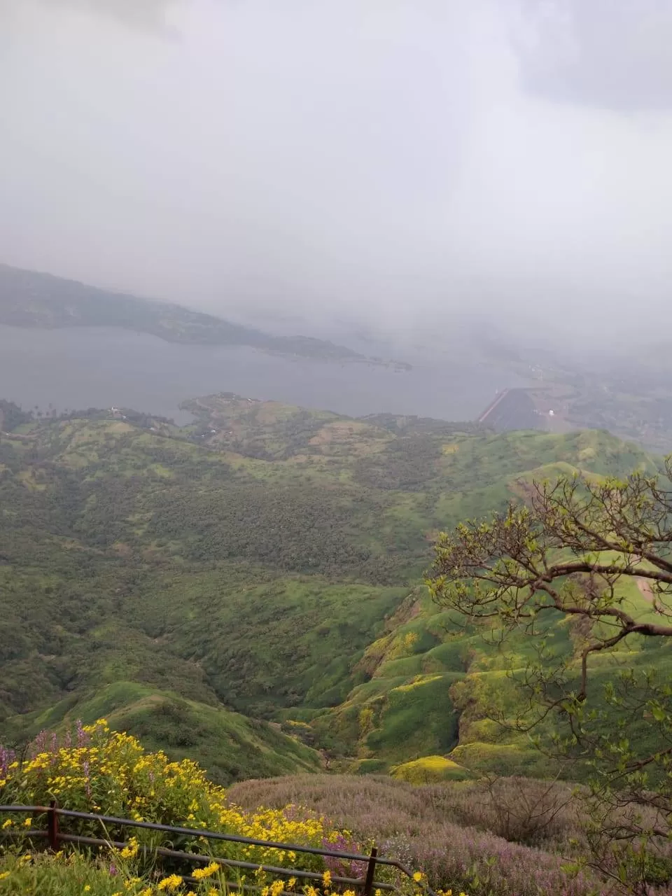 Photo of Torna Fort By The Local Backpacker 