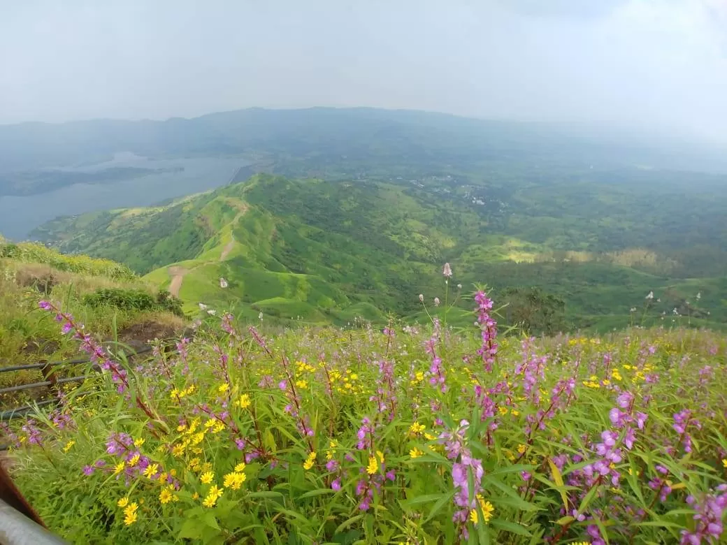 Photo of Torna Fort By The Local Backpacker 