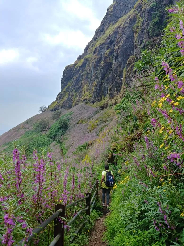Photo of Torna Fort By The Local Backpacker 