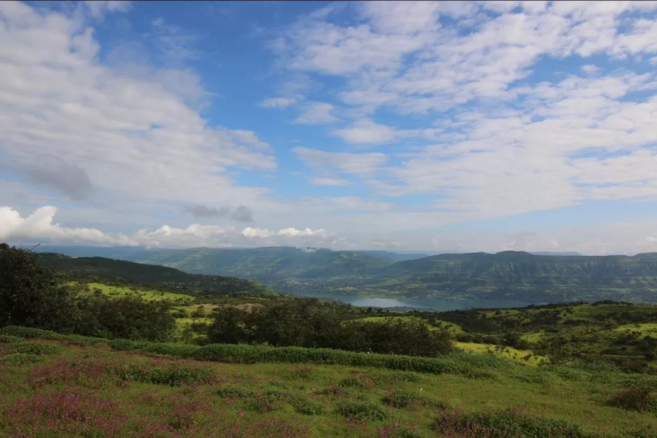 Photo of Kaas Plateau of Flowers By The Local Backpacker 