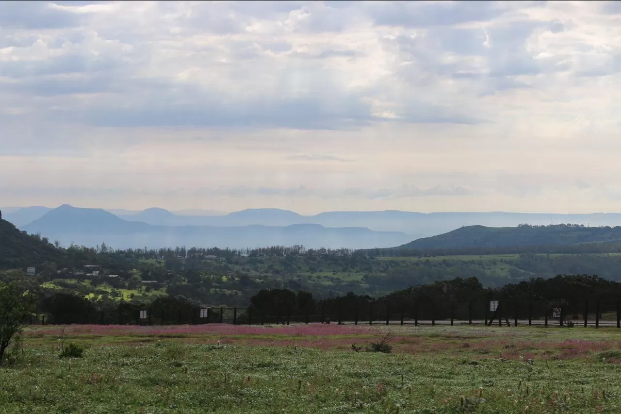 Photo of Kaas Plateau of Flowers By The Local Backpacker 