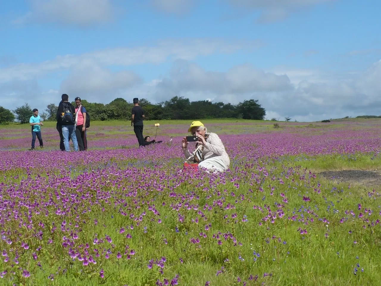 Photo of Kaas Plateau of Flowers By The Local Backpacker 