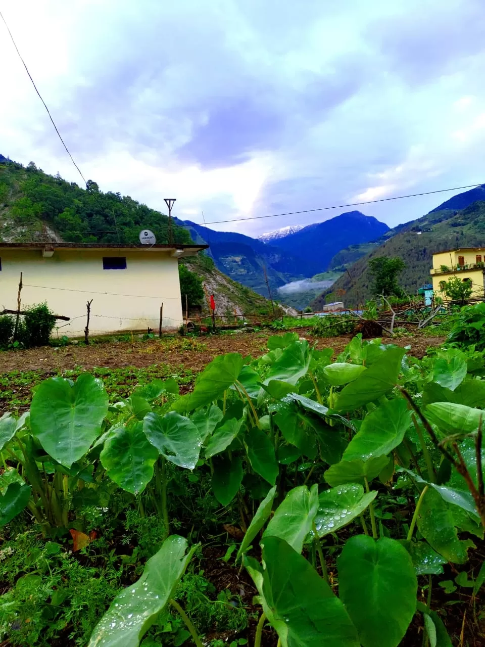Photo of Munsyari By Sumit Joshi