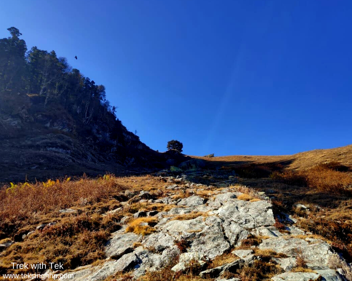 Photo of The Great Himalayan National Park By trek.ghnp