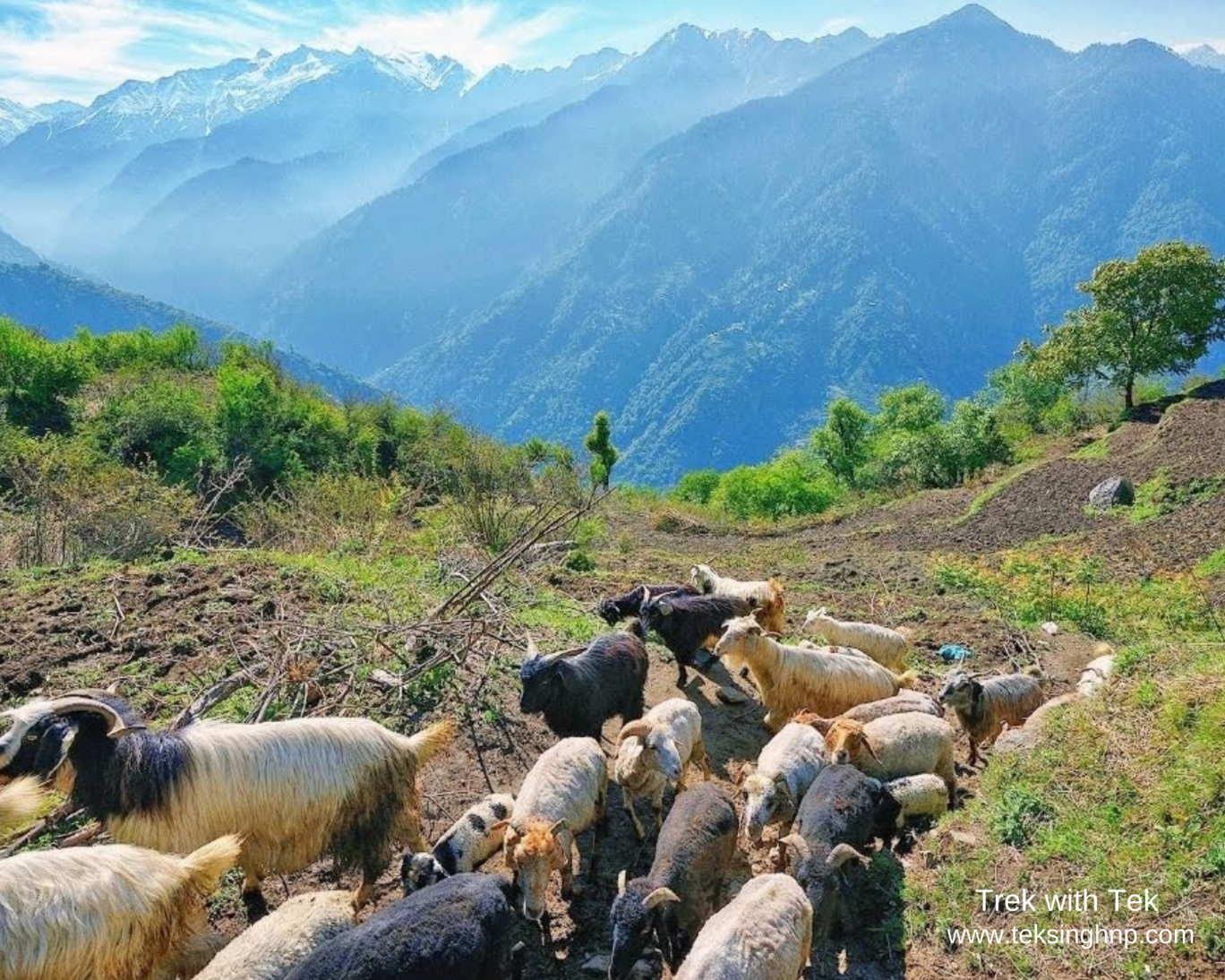 Photo of The Great Himalayan National Park By trek.ghnp