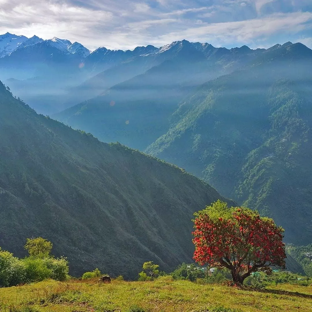 Photo of The Great Himalayan National Park By trek.ghnp
