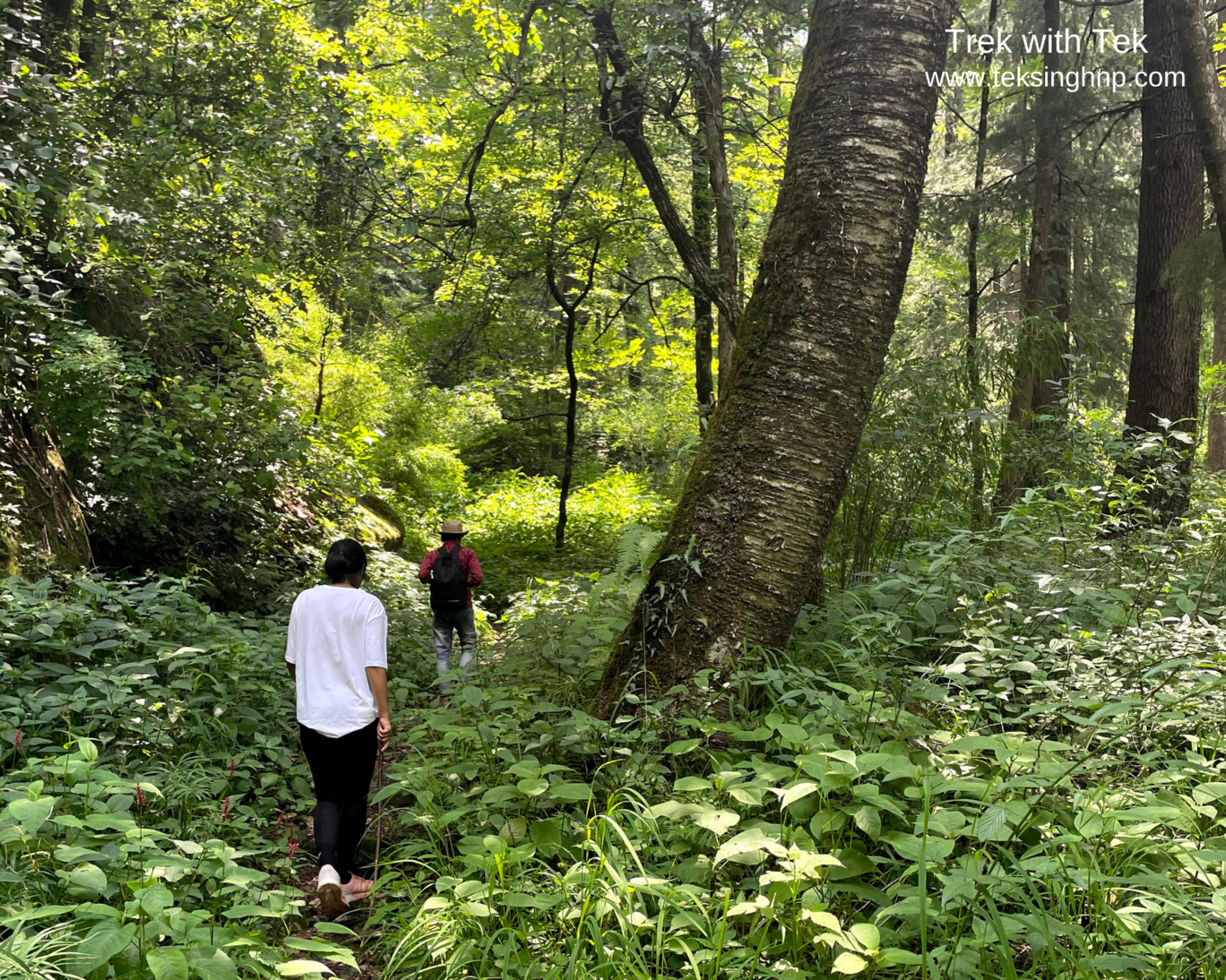 Photo of The Great Himalayan National Park(office) By trek.ghnp
