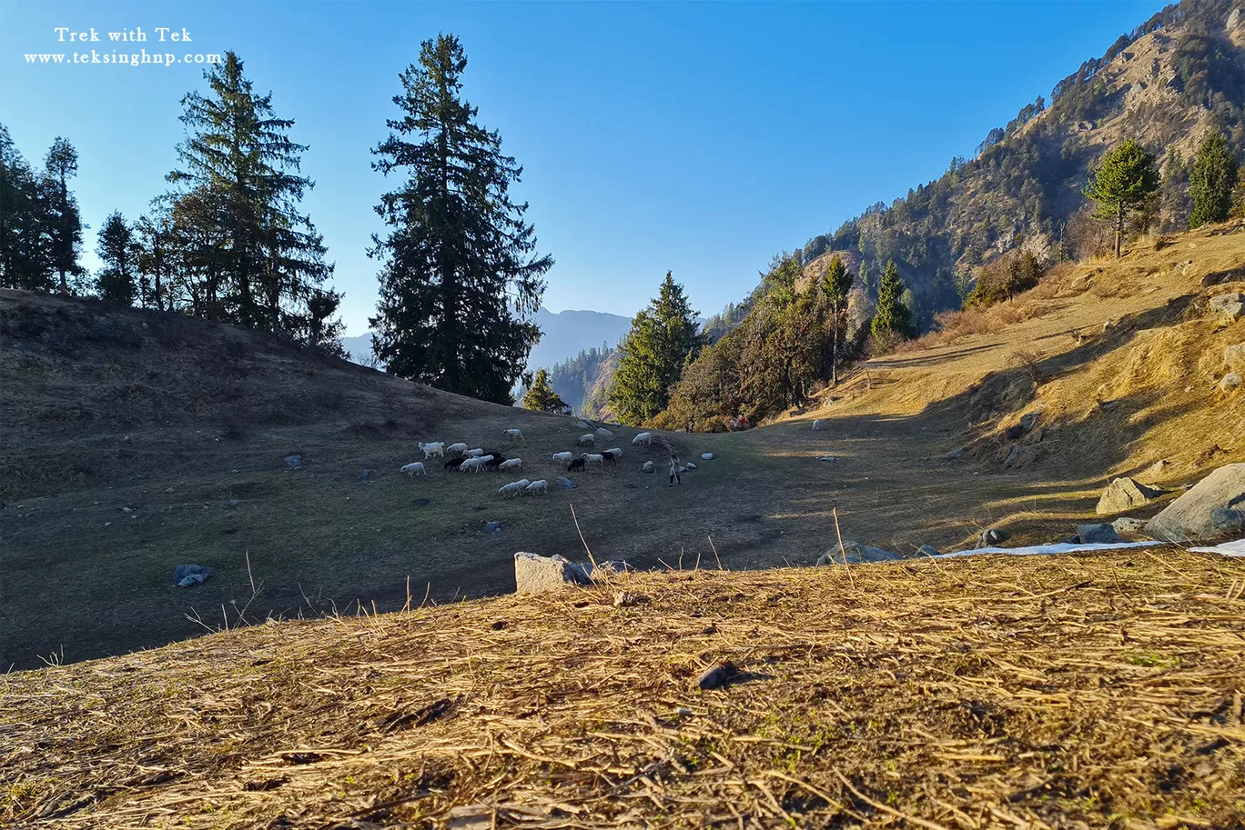 Photo of The Great Himalayan National Park(office) By trek.ghnp