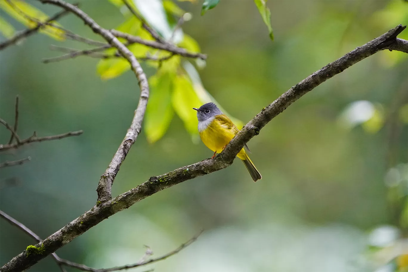 Photo of The Great Himalayan National Park(office) By trek.ghnp