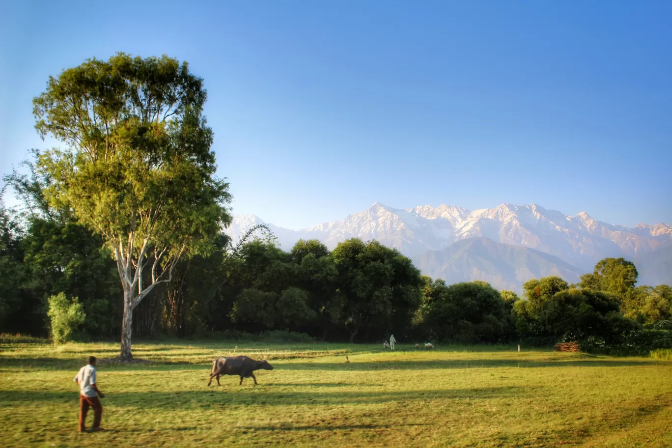 Photo of Kangra Valley By Pankaj lohani