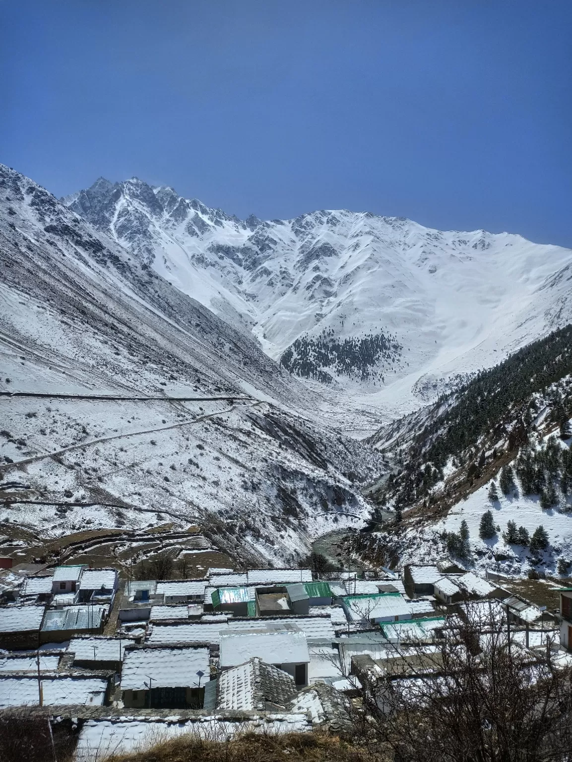 Photo of Niti Valley By Pankaj lohani