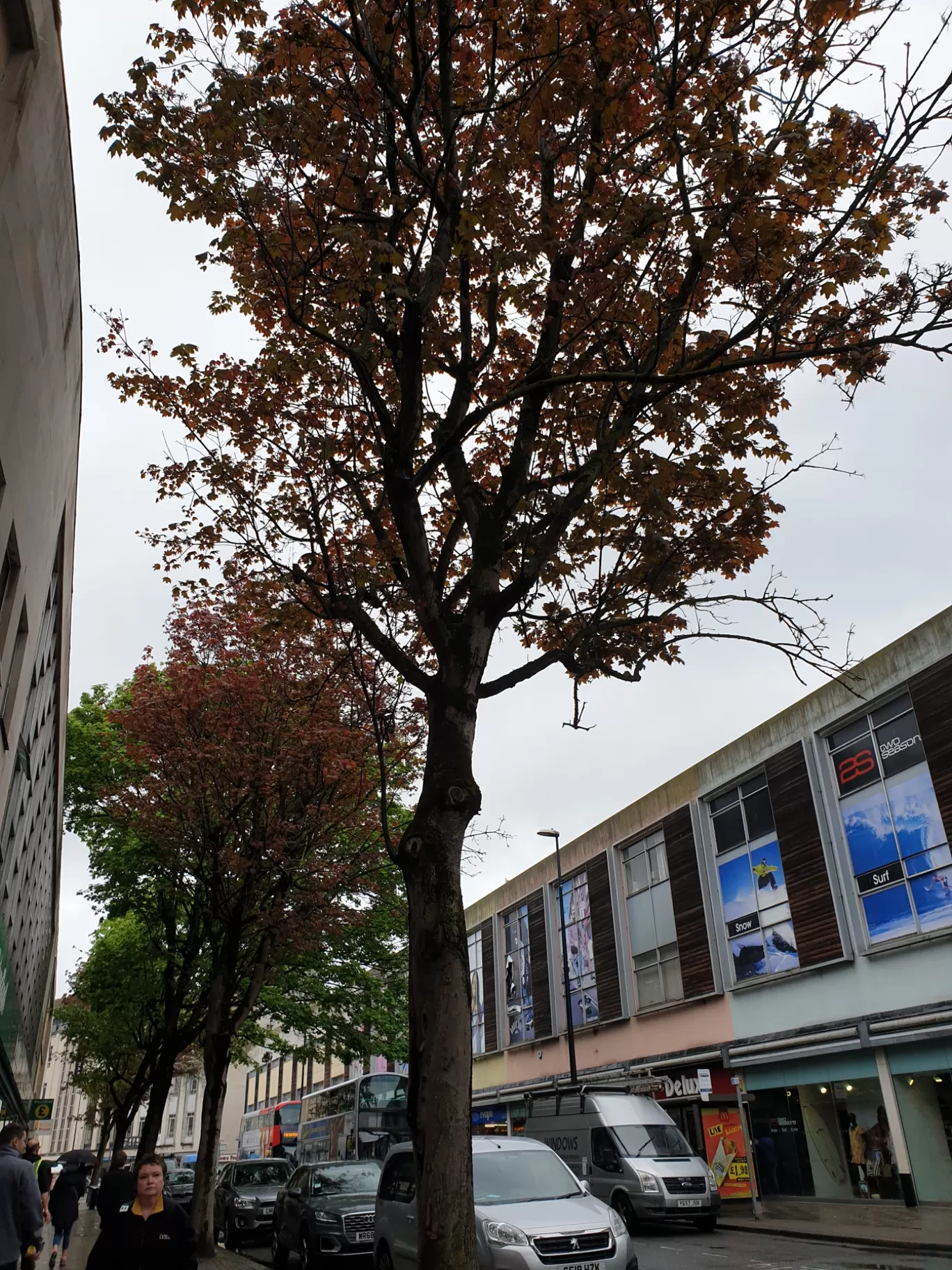 Photo of Bristol By Saumya Saxsena