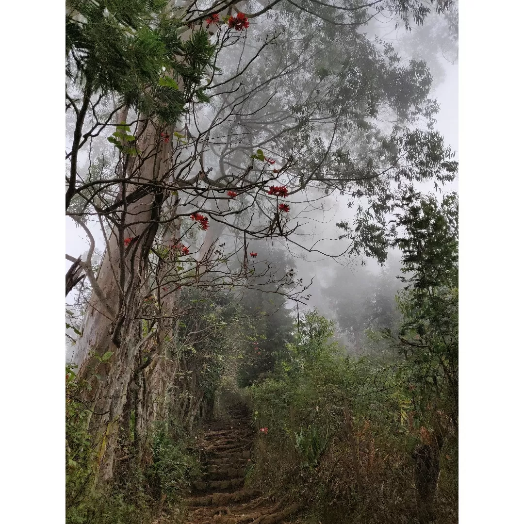 Photo of Kodaikanal By shashank n