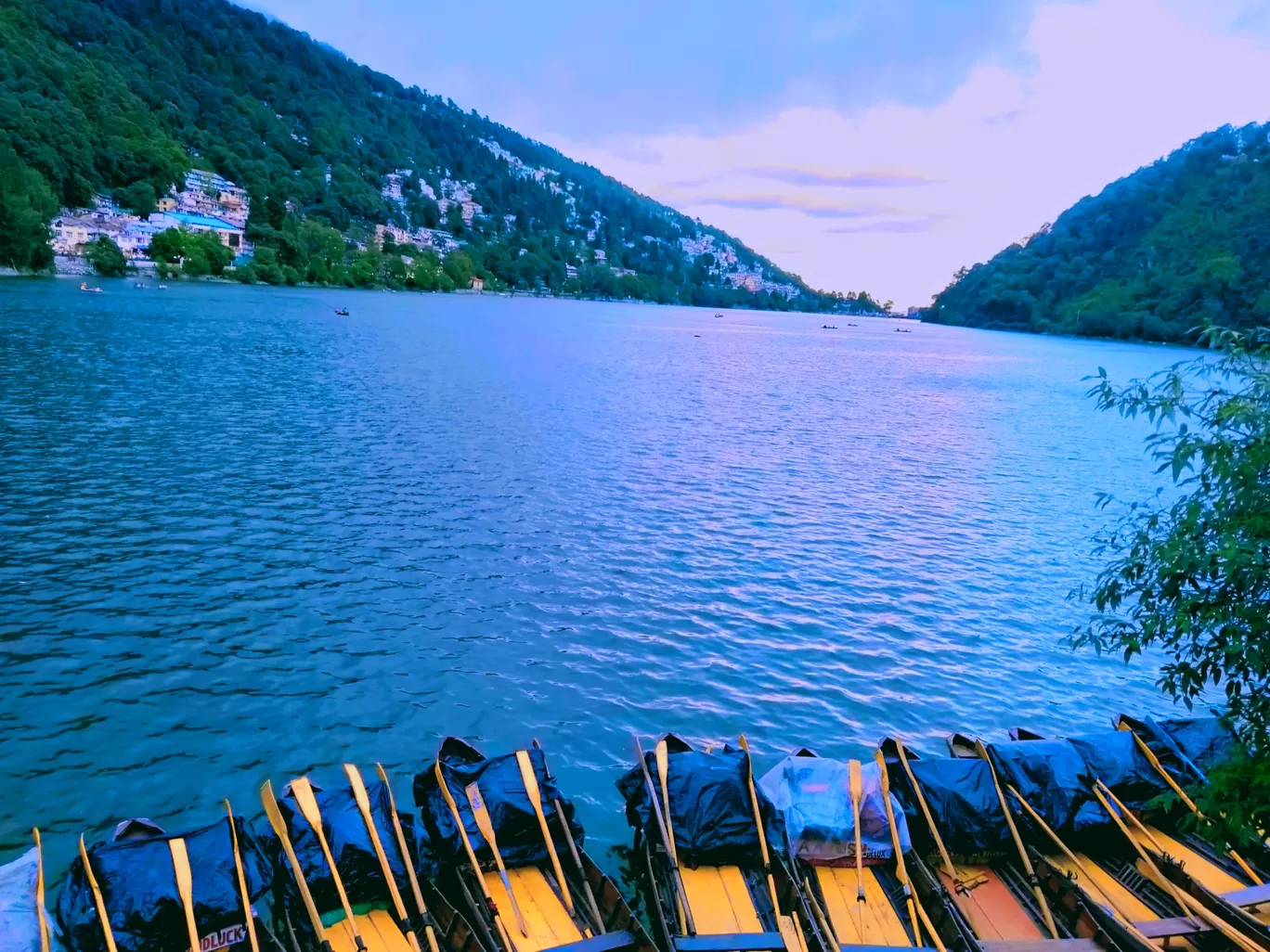 Photo of Nainital Lake By vishal Arora