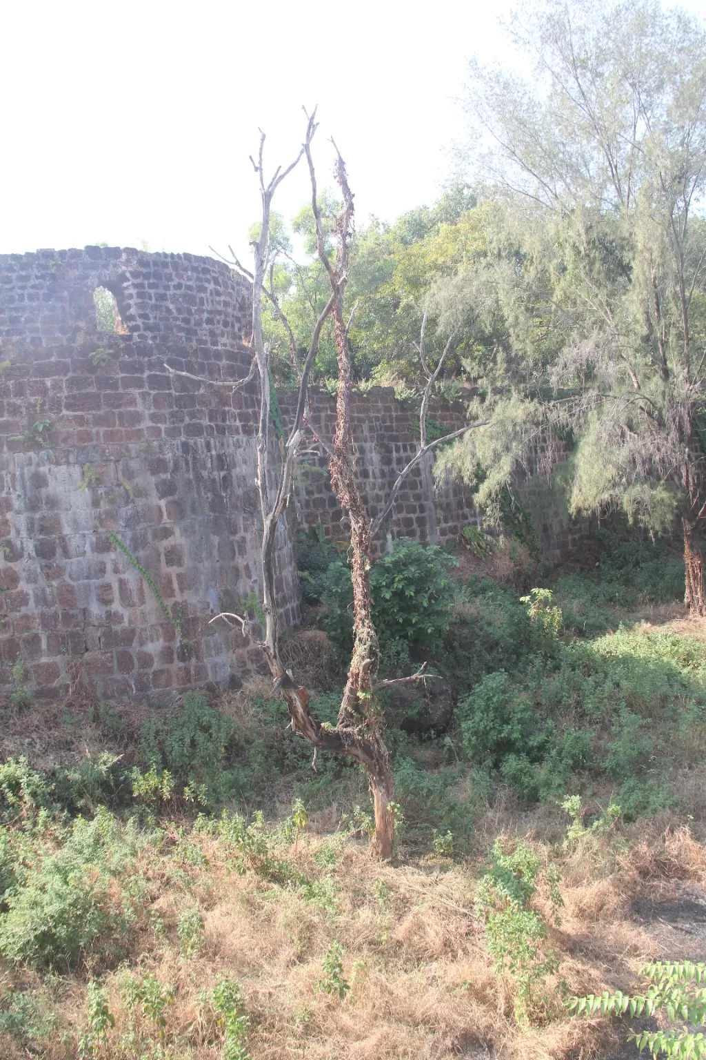Photo of Vijaydurg Fort By vijayparale
