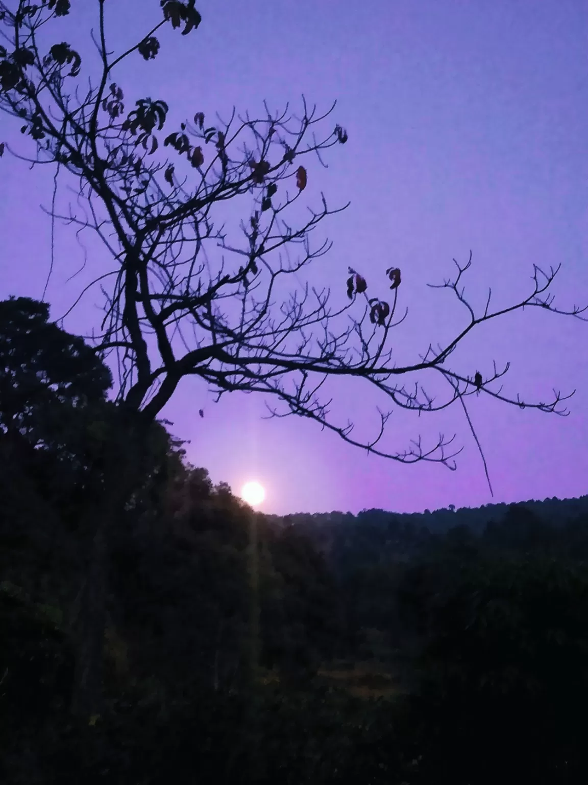 Photo of Masi By Rahul Purohit