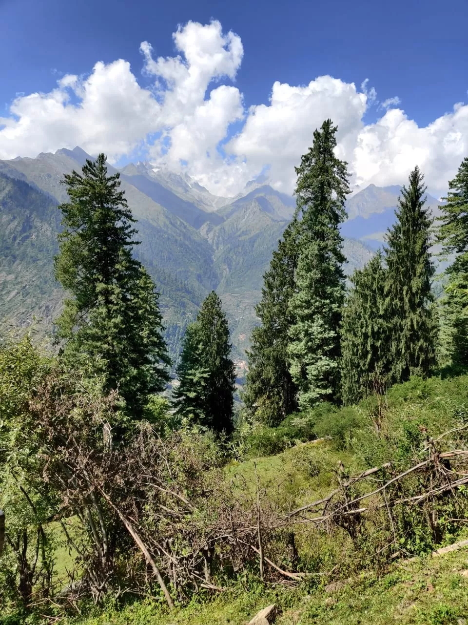 Photo of Himachal Pradesh By Vipin Kr